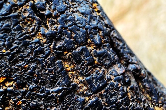 厦门海边之旅,厦门小众旅游体验