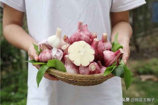 9.9包邮成了邮费成本怎么赚钱,9.9元商品包邮爆款什么套路