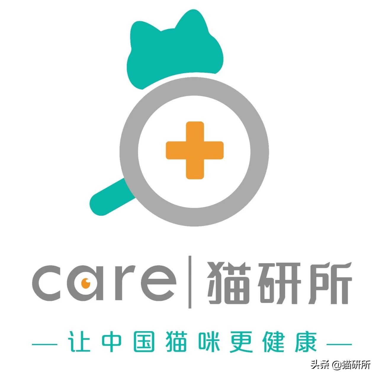 猫咪省钱好物维生素,猫咪必买的10种单品