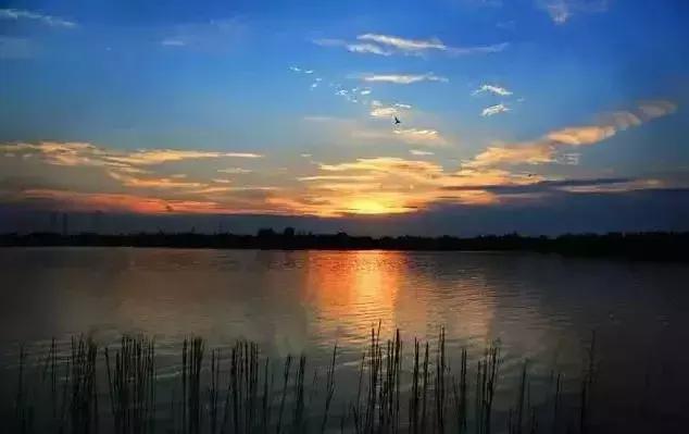 中国丹阳眼镜城在哪,丹阳市眼镜批发市场