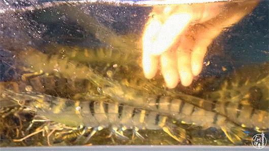 送¥600高级牛肉！火爆广深的烤肉店，有女票的千万别去！