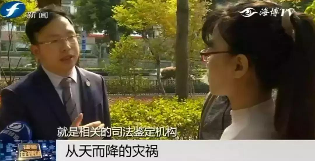 好险|大爷公园散步，硕大枝条垂直戳下，再偏毫厘后果不敢想！