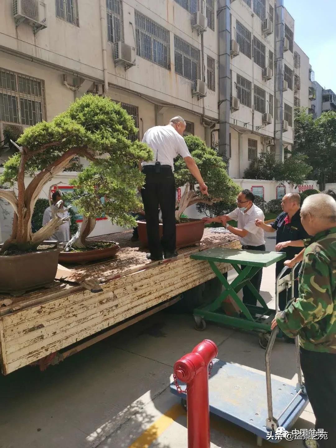 涓浗钁楀悕鐩嗘櫙澶у笀绮惧搧鐩嗘櫙,鐩嗘櫙鑹烘湳瀹跺拰鐩嗘櫙鑹烘湳澶у笀