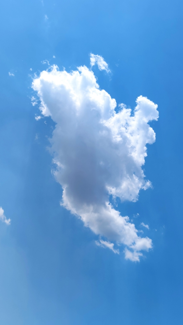 阜阳蓝让我看到了家乡的宏伟壮观的蓝图！