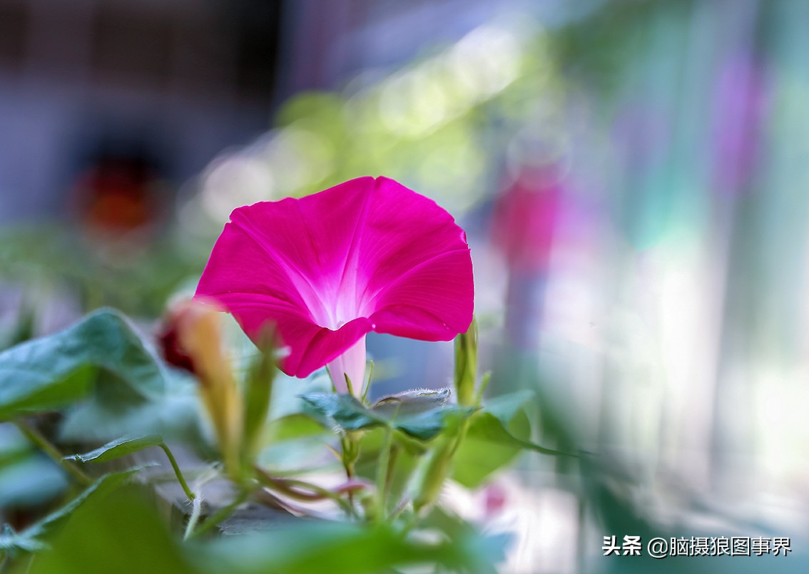 佳能6d现在有新的吗,佳能6d相机寿命多少时间