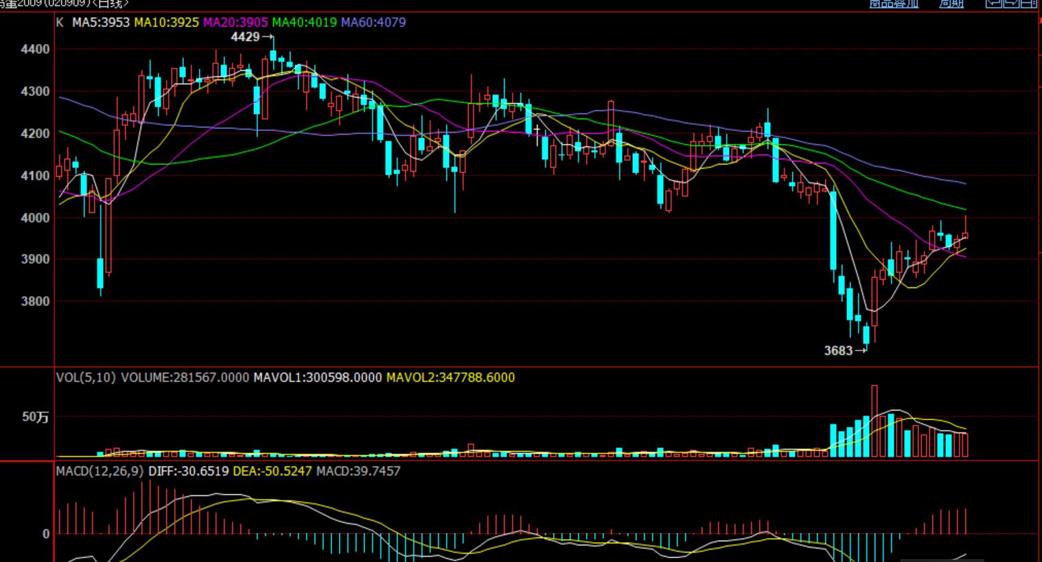 鸡蛋期货行情分析及投资指南,鸡蛋批发创业项目计划书