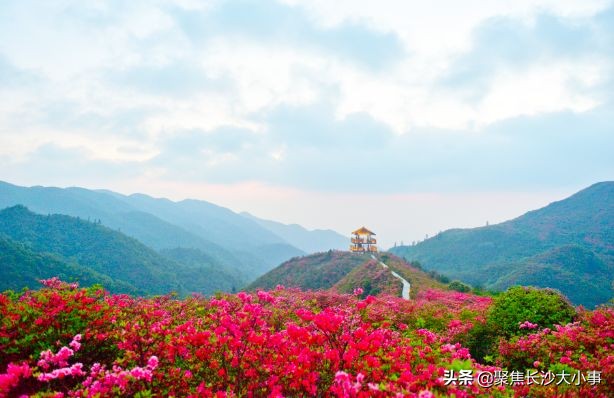 湖南浏阳市有多大,浏阳相当于长沙的一个区吗