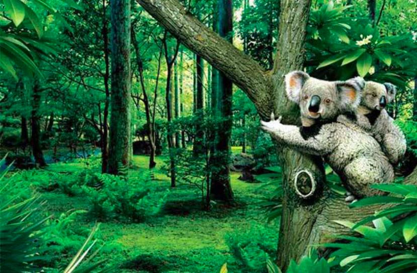 广州长隆疫情复开了吗,长隆集团最新消息