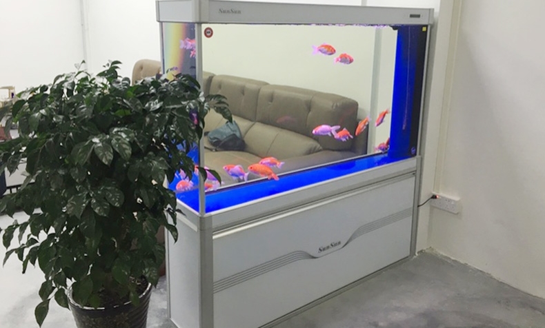 客厅风水摆件的选择方法,客厅风水摆件用什么好一点