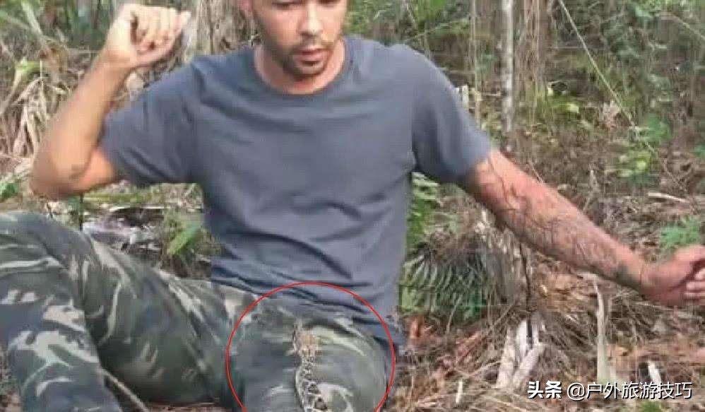 夜钓怎样防蛇进身边,夜钓防蛇最简单方法