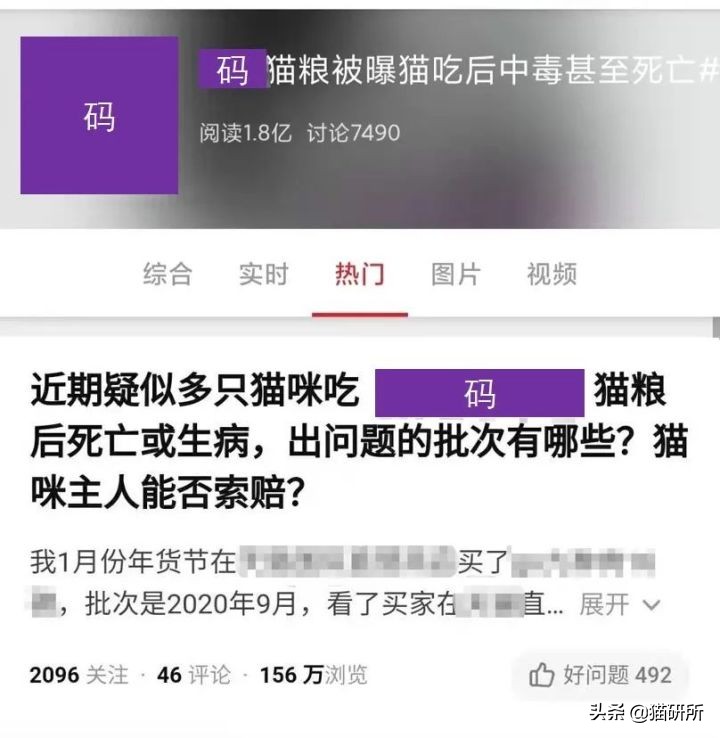 如何买质量又好又便宜的猫粮,猫粮哪里买到正品