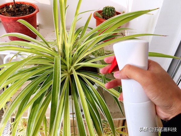 宜洁家居清洁用品怎么样,宜洁家用清洁用品