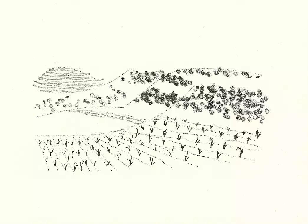 科尔伯,科尔伯山的日文罗马音