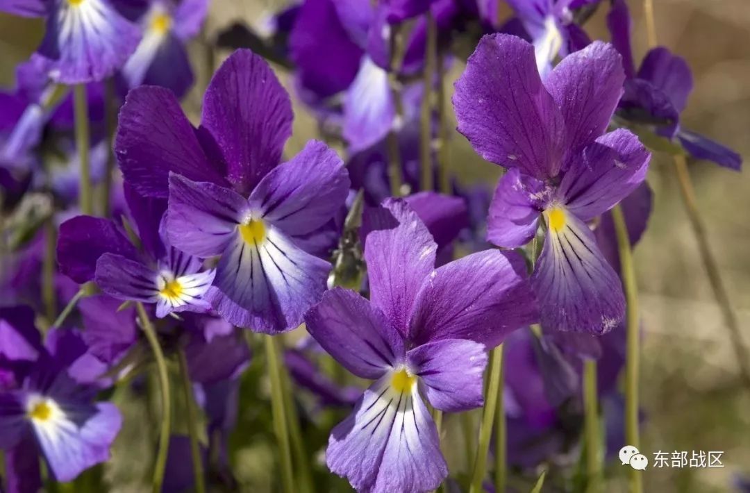 一封催人泪下的家书手写,一封家书感人完整版