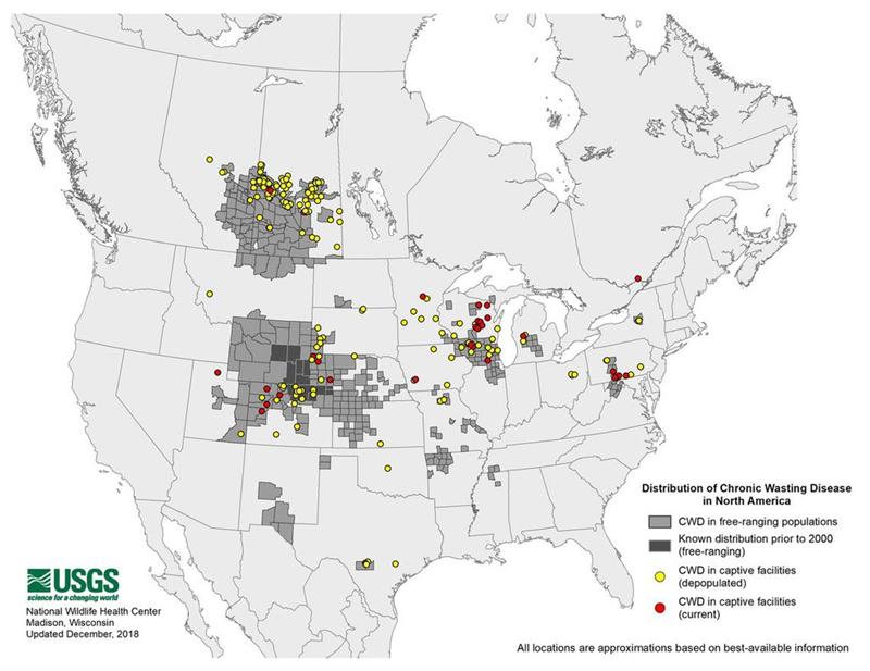 僵尸鹿病毒从何而来,僵尸鹿病在北美传播