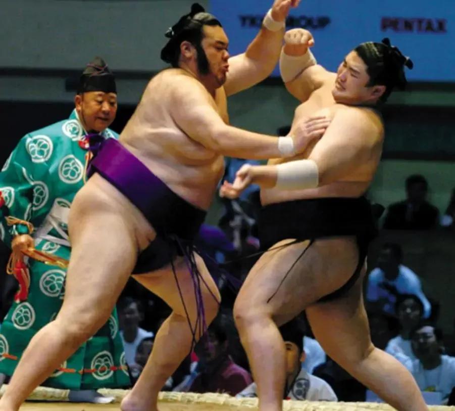 女神为什么最后都嫁给了老实男人,日本女的为什么想嫁给相扑选手