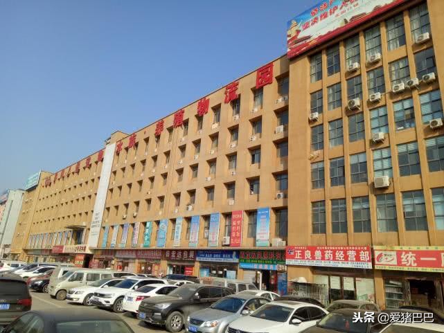 郑州市兽药批发市场哪个最大,全国最大兽药饲料批发市场