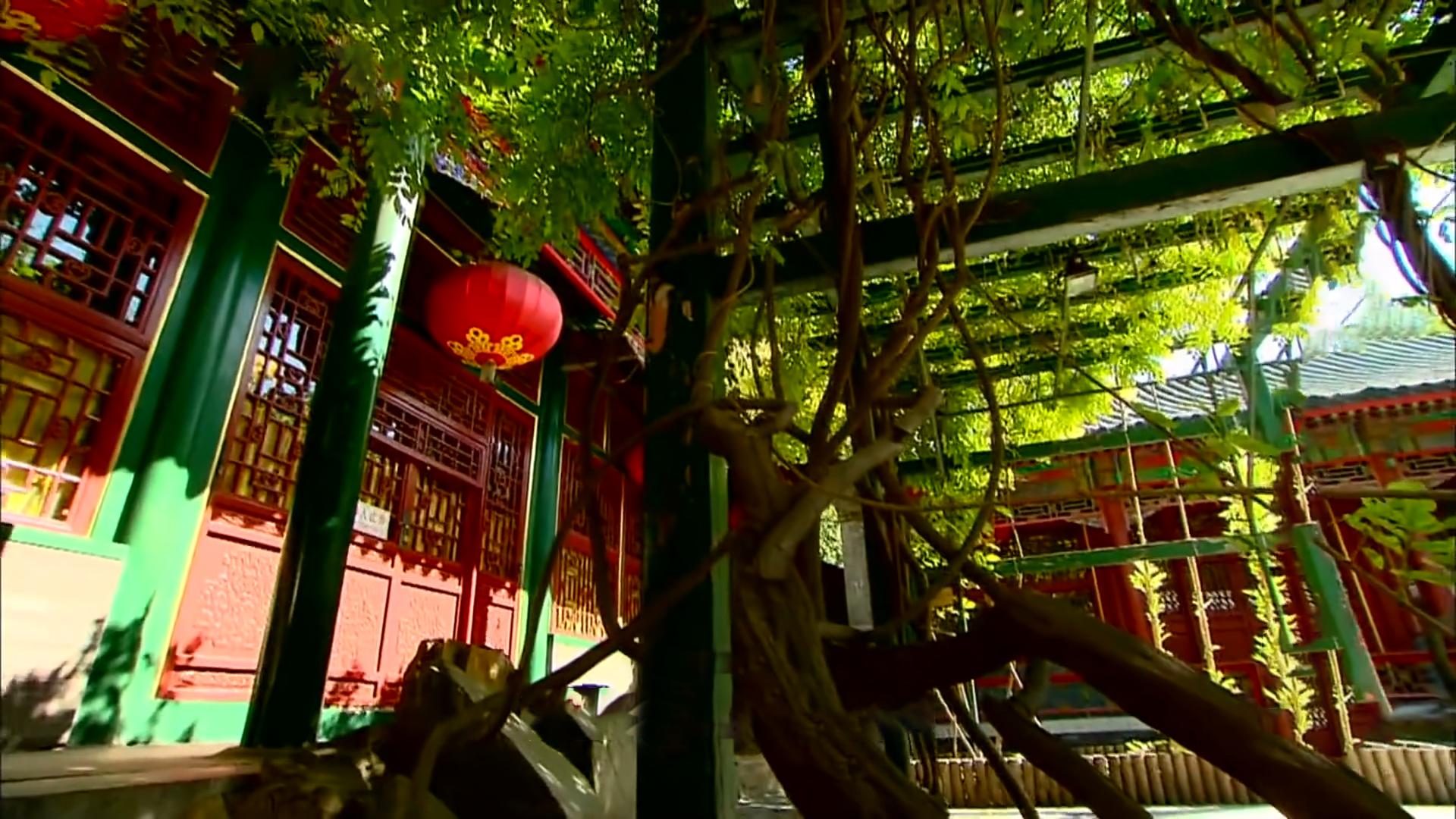 这才是豪宅,七个足球场大的豪宅