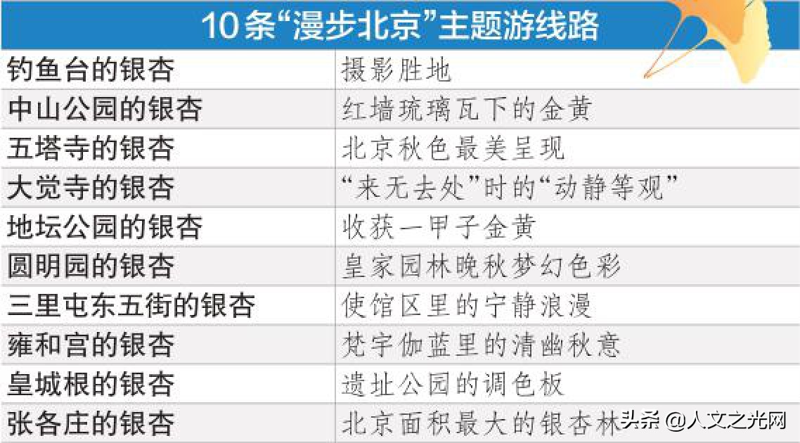 醉美银杏路图片大全,北京赏银杏叶路线