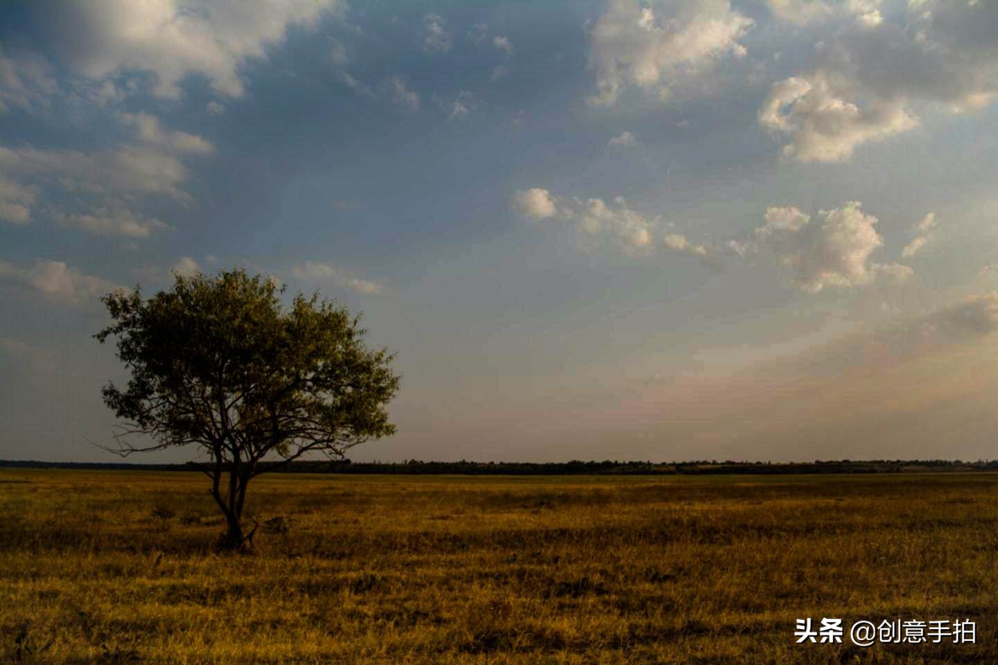 手机修图技巧和方法,修图技巧手机