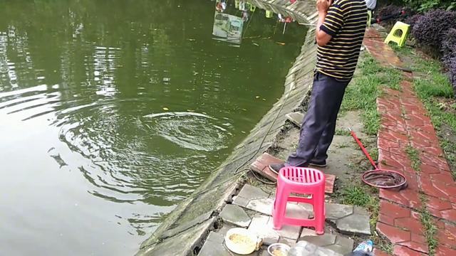 响水水库钓鲤鱼,响水钓鲤鱼位置