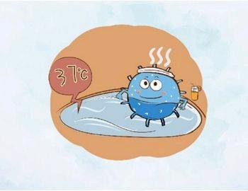 益生菌怎么吃才是最好的,益生菌怎么吃才预防拉肚子