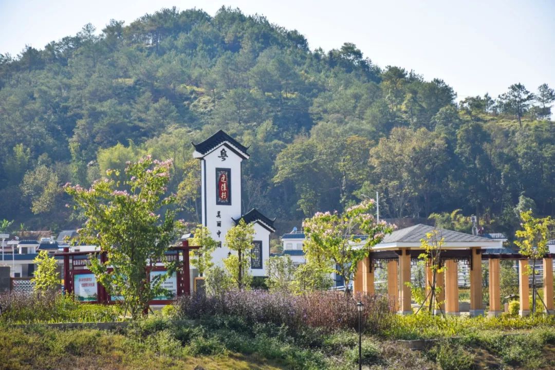 韶关最美乡村游,广东韶关乡村大自然的风景