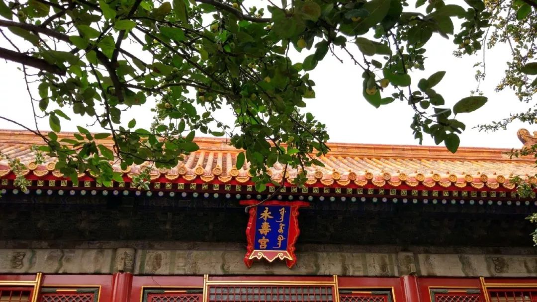 讲述关于北京故宫的故事,故宫六百年讲什么