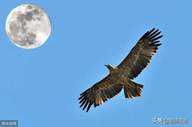 社交英语口语天天练,社交英语口语入门
