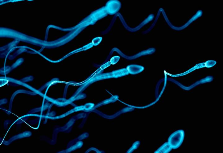 “精子”进入女人体内没“受精”,去了哪里呢?看完或许就了解了