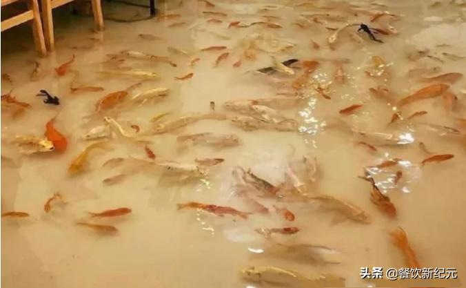 江西南昌，女子在奶茶店泡脚，走红朋友圈，网友：老板太有才了