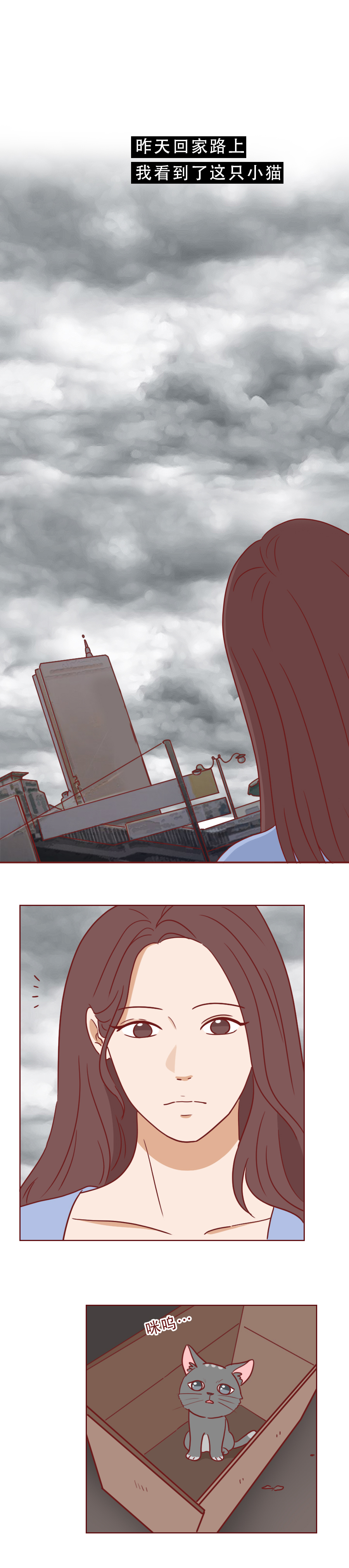 捡回来抑郁的猫,捡回一只小猫原居民抑郁了