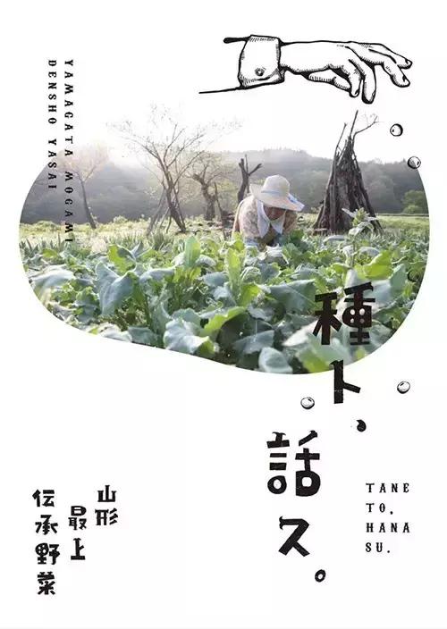 海参干货海报设计,海鲜干货产品海报设计