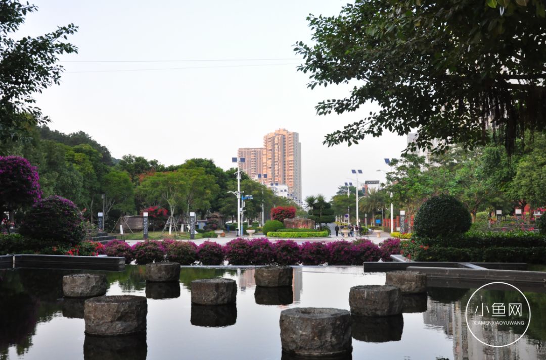 鬼城or未来可期？我们走进漳州港，发现“接盘侠”的各种悲喜交加