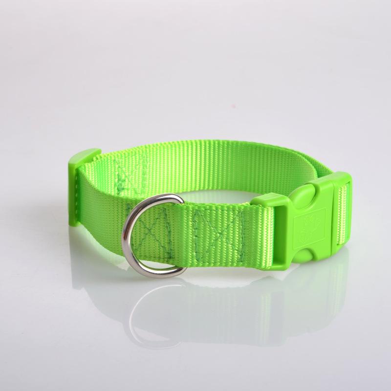 养狗新手入门必备知识,养狗知识大百科入门篇