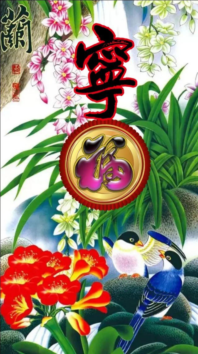 精美兰花壁纸图,兰花高贵壁纸