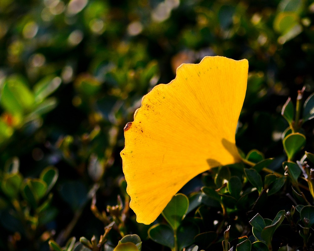 看世界图片素材库,看世界图片背景