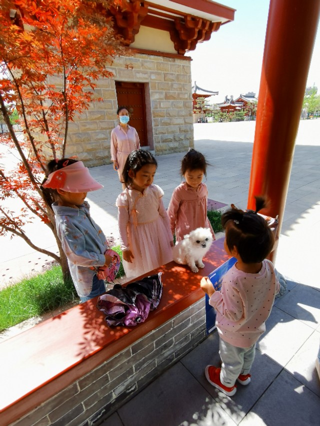 德福，不是人，是只狗！