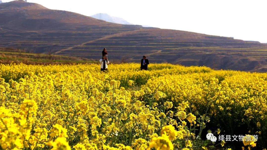 美丽乡村百花节,美丽乡村山花节