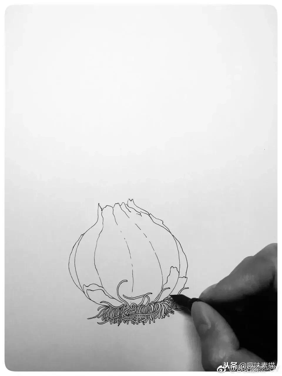 针管笔入门初学者画风景,针管笔教程