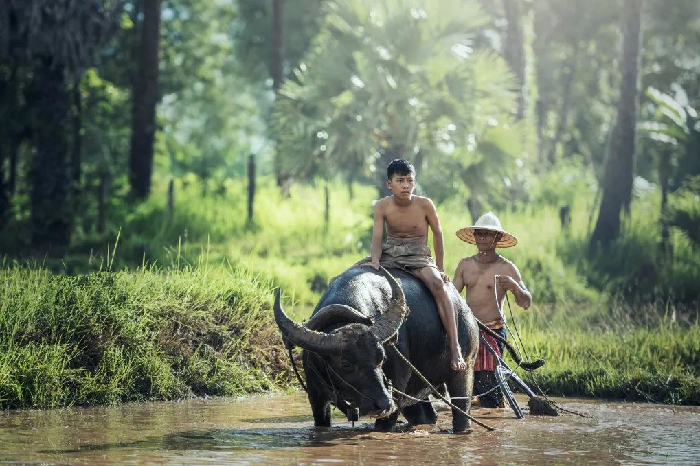 谁才是最大的资本家,谁才是真正的资本