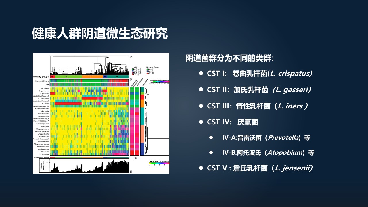 肖冰冰的小视频,肖冰冰讲的12生肖