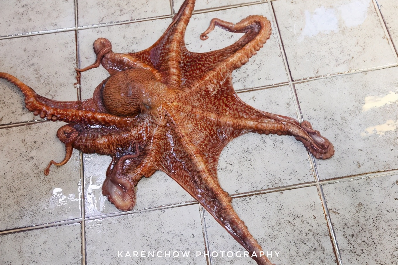 閲滃北濂界帺涓庡ソ鍚冪殑鍦版柟,閲滃北鏃呮父缇庨