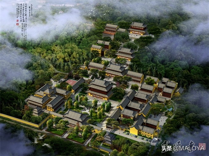 杭州灵隐寺1700年菩提树开花,杭州灵隐寺旅游全攻略