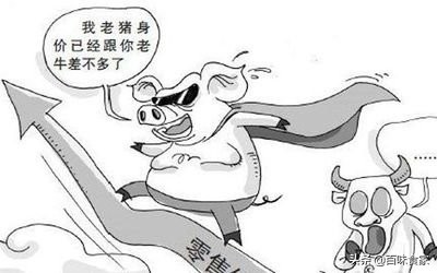 鱼豆腐汤豆腐入口即化,清炖鱼豆腐最好吃最简单的方法