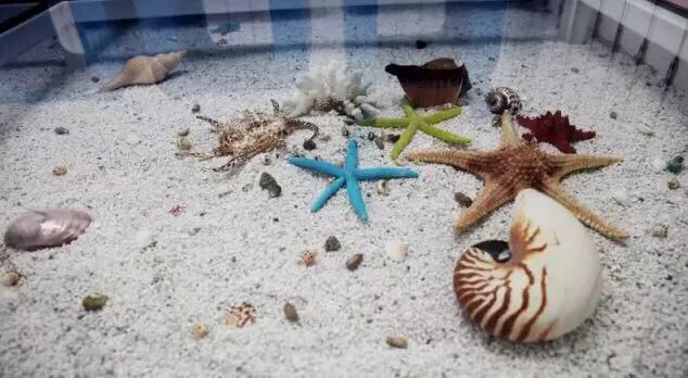 暑假深圳好玩的地方推荐,暑假深圳免费好玩的地方推荐