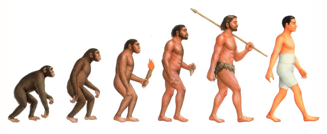 最新款起亚k5驾驶感受,全新起亚k5重回颜值巅峰