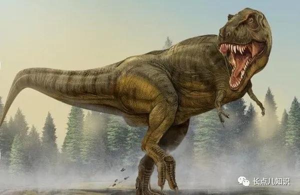 十大最强恐龙第九位特暴龙,比霸王龙还凶的世界十大恐龙