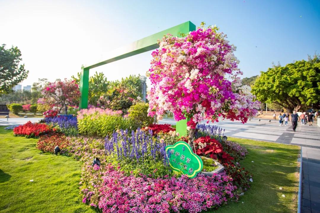 植树节再为园区添绿色,植树节赏植踏春之旅