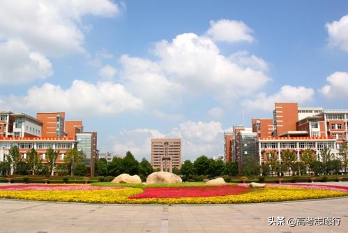 杭电2005年高考分数线,关注度高的大学